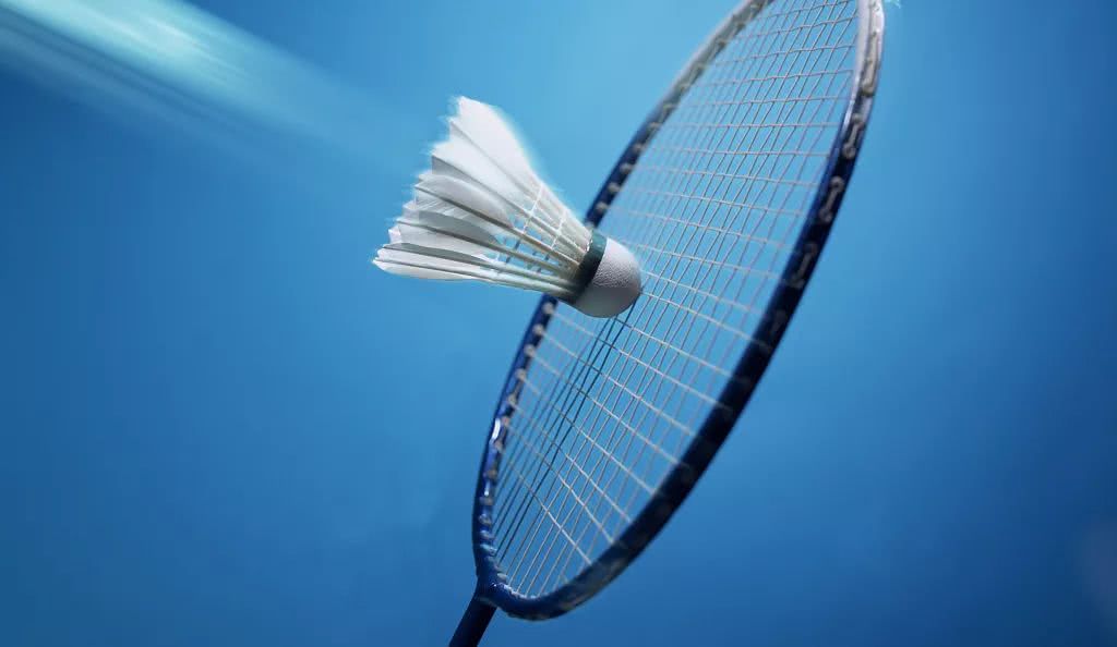 它仅能降低 它仅能降低